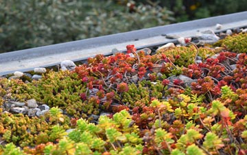 the cost of Letchmore Heath green roof installation