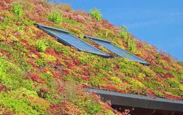 Letchmore Heath living roof systems